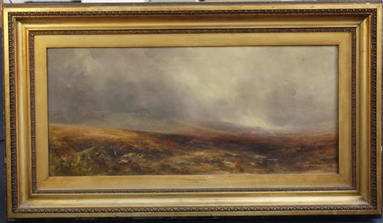 George Shaw (1843-1915) Nr. Bridestowe, Dartmoor, 18 x 40in.